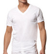 Hanes 3-Pack Big V-Neck T-Shirt